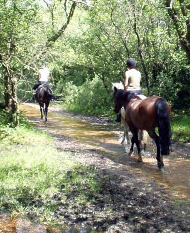 Hotel Montanaro jahanje